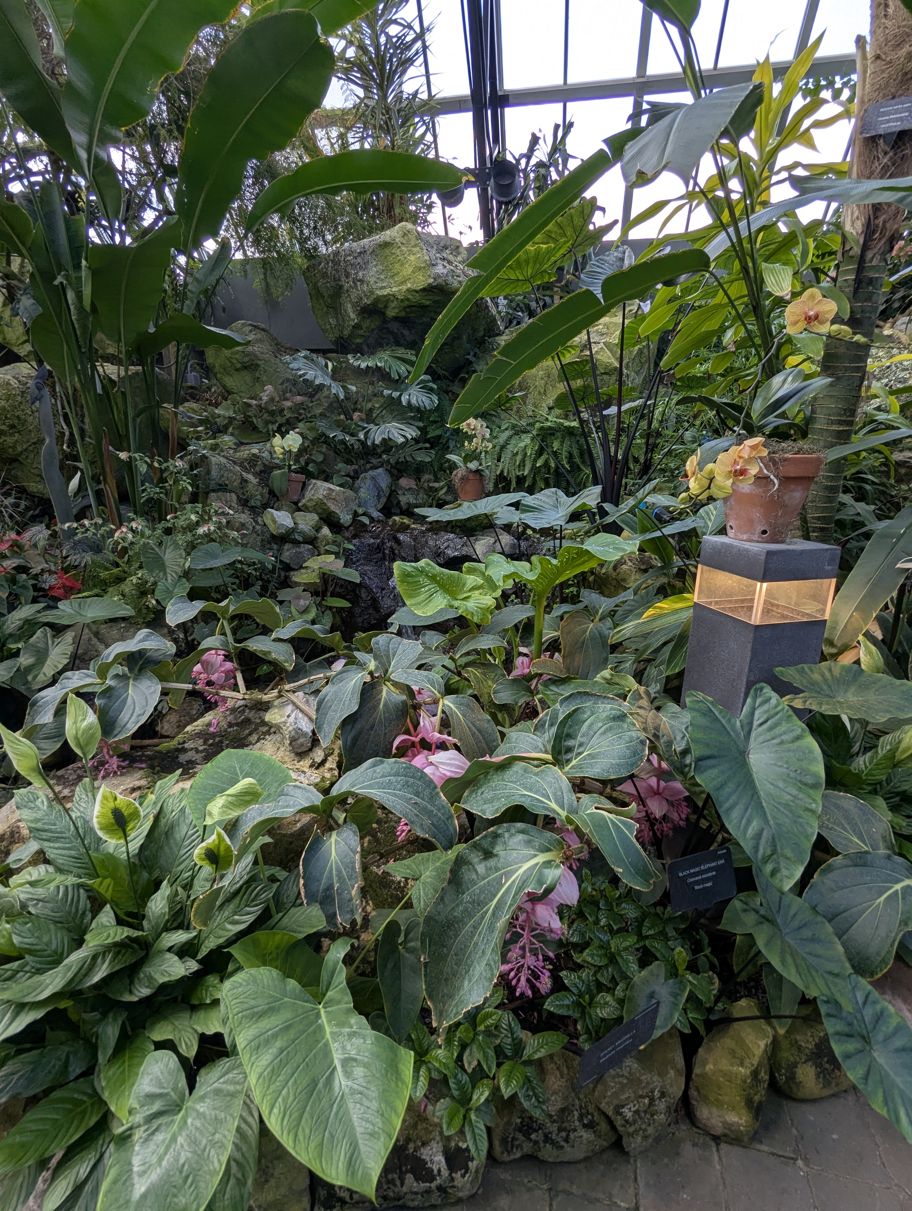 Birthday Trip to Canada, Edmonton, Pyramids, Muttart Observatory